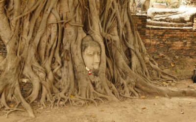 Ayutthaya und eine Geisterfahrt bei Nacht