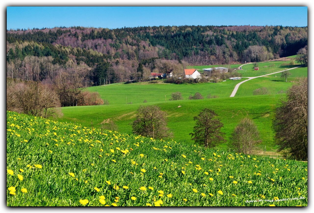die stauden-schweizerhof-frühling