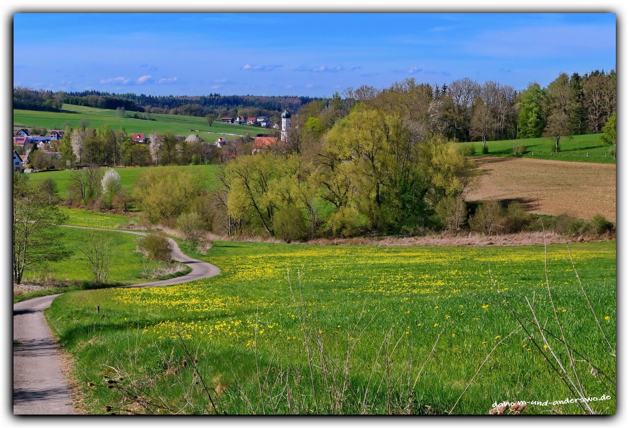 frühling-langenneufnach-die stauden 01