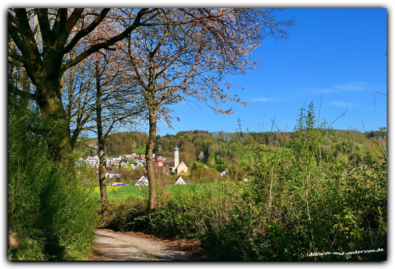 frühling-langenneufnach-die stauden 02