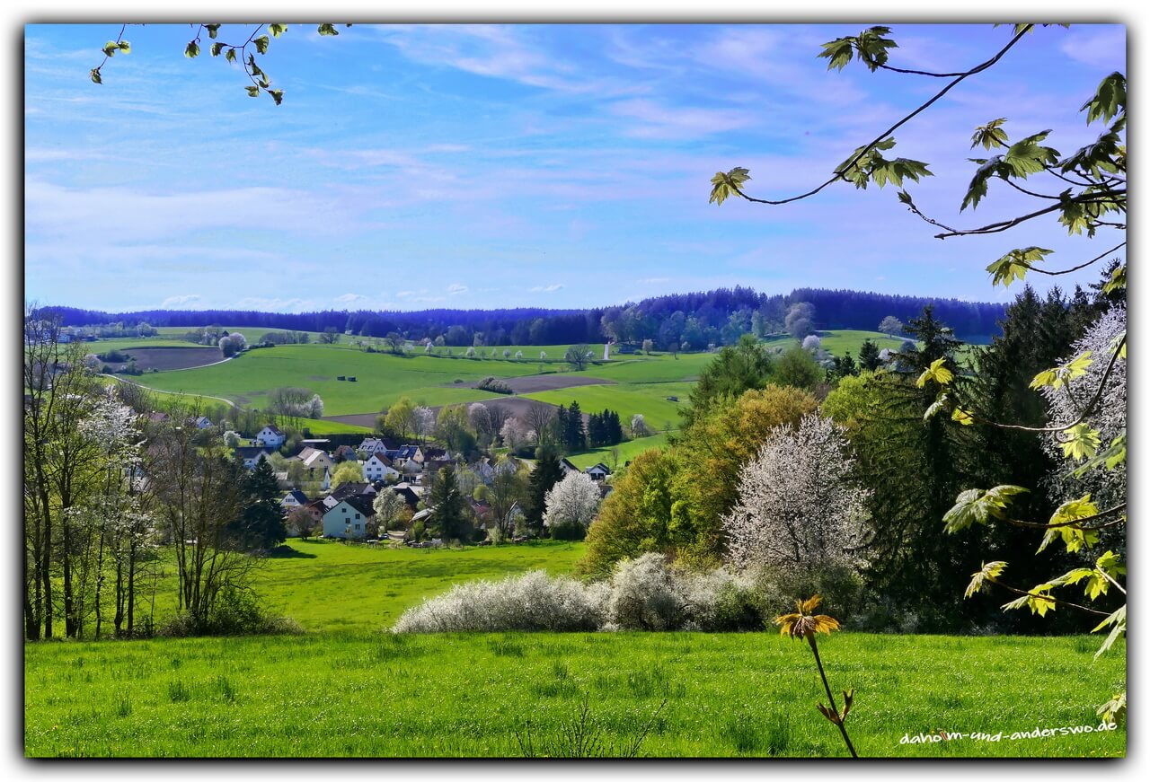 langenneufnach-die stauden-frühling-sitzbank 02