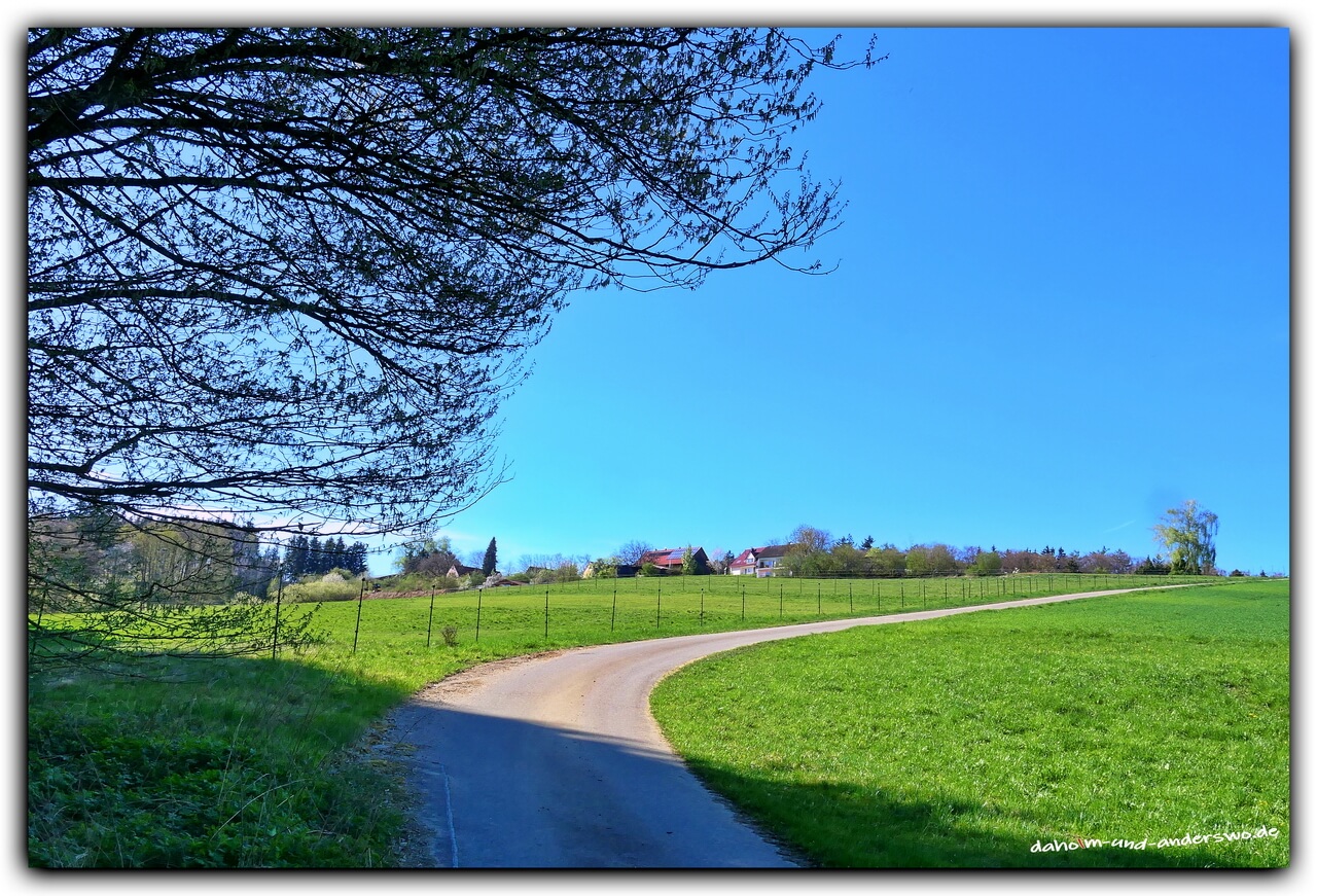unterrothan-frühling-die stauden