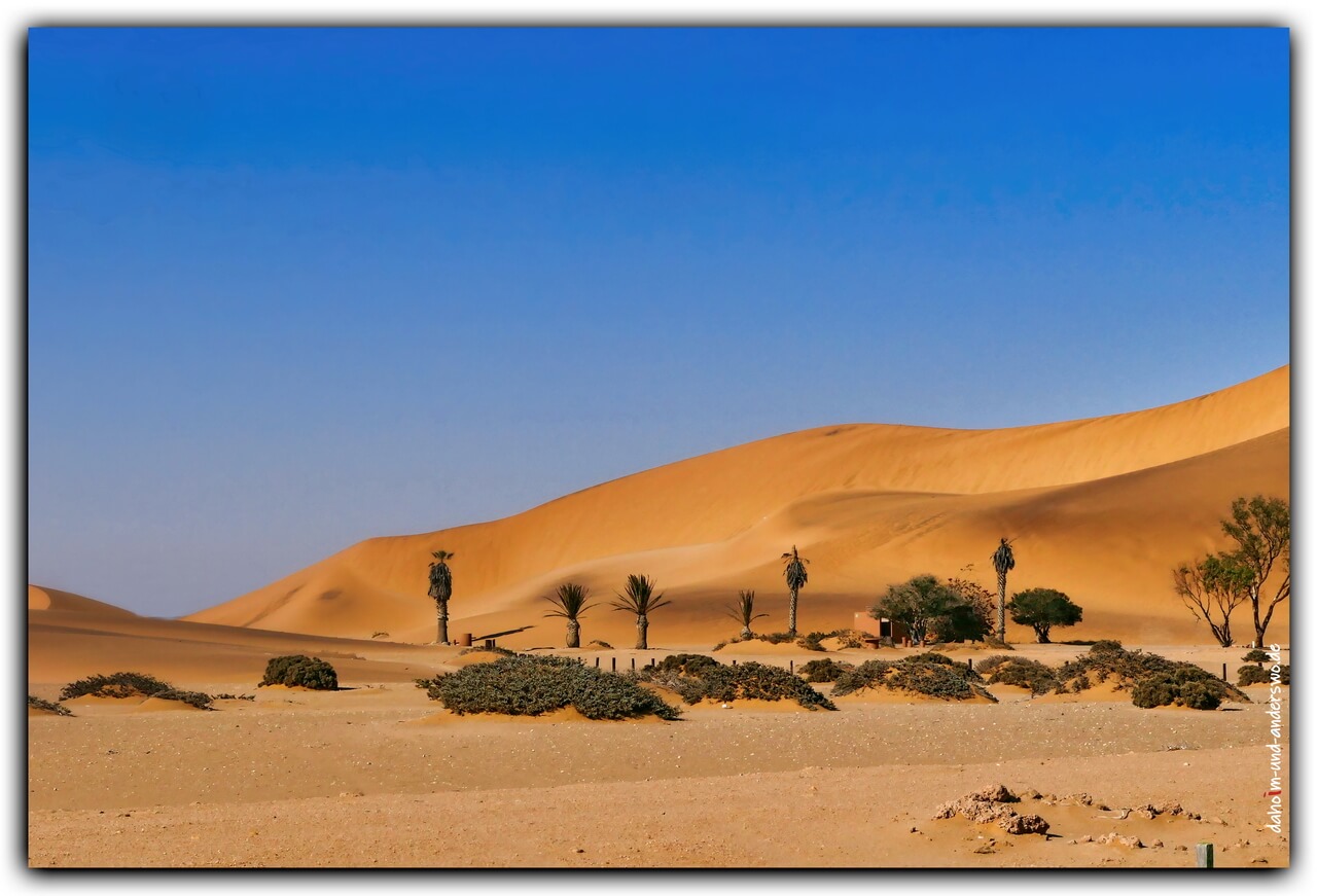 01 wüste-sand-düne-namibia 02