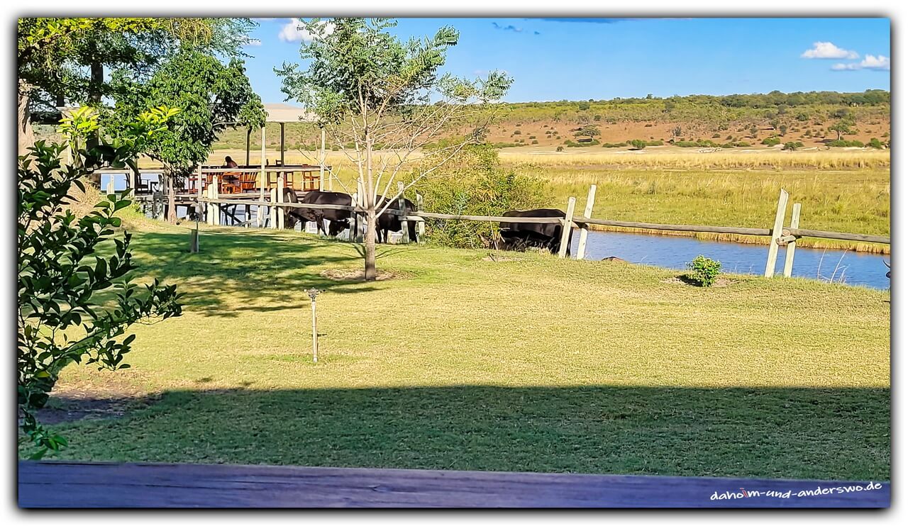 Namibia-Chobe Rivercamp- 01