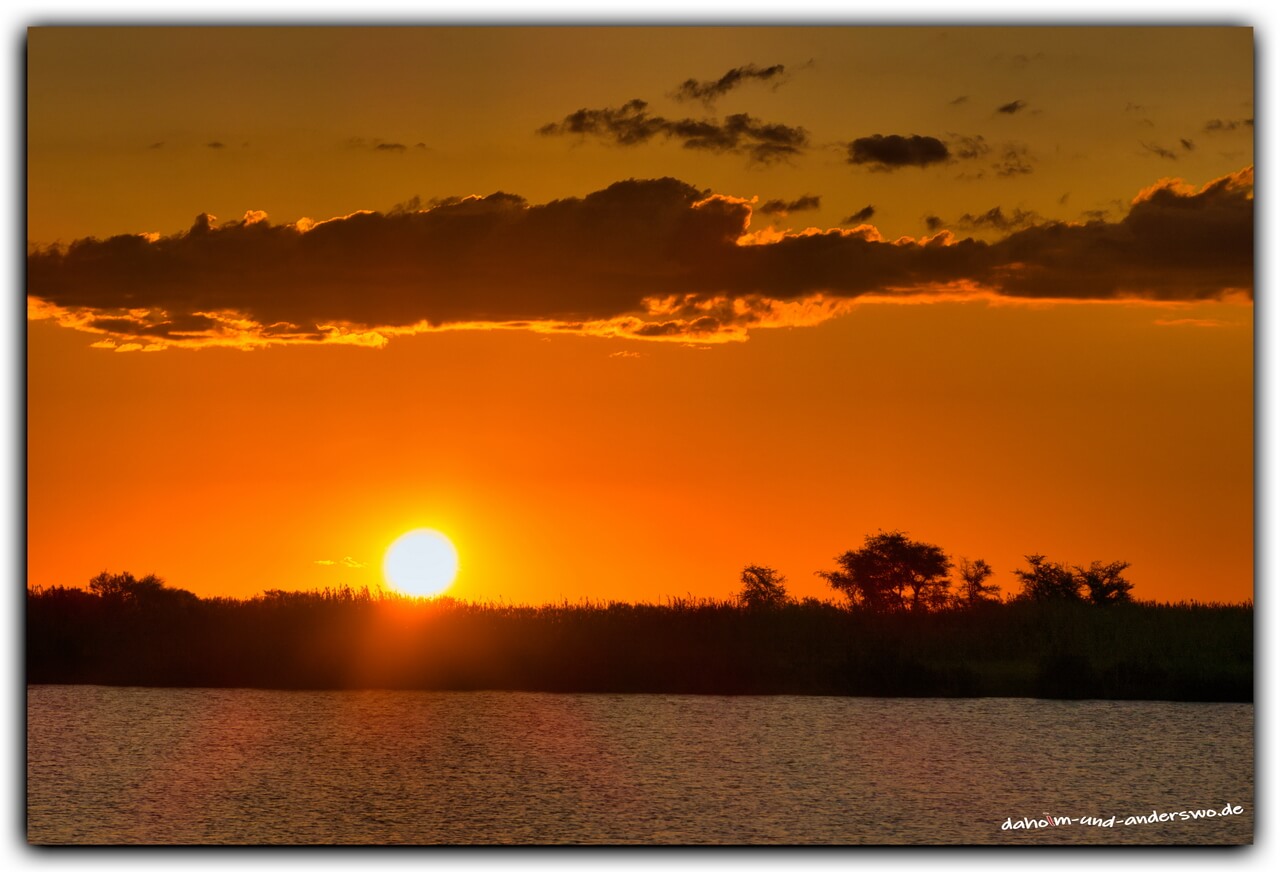 chobe river-sundowner-botswana 06