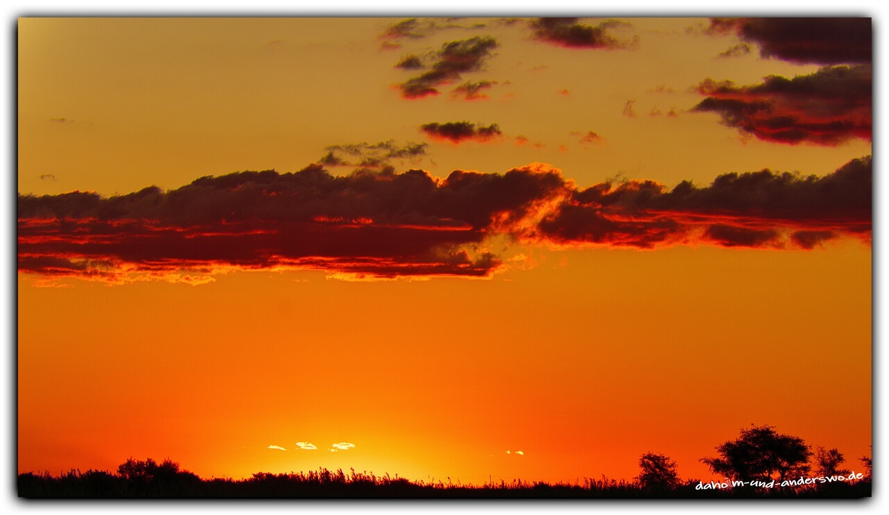 chobe river-sundowner-botswana 07