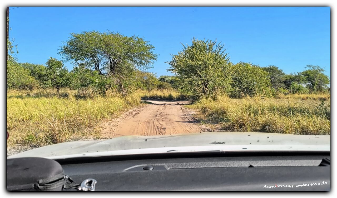 namiba-chobe-caprivi-straße-sand 01