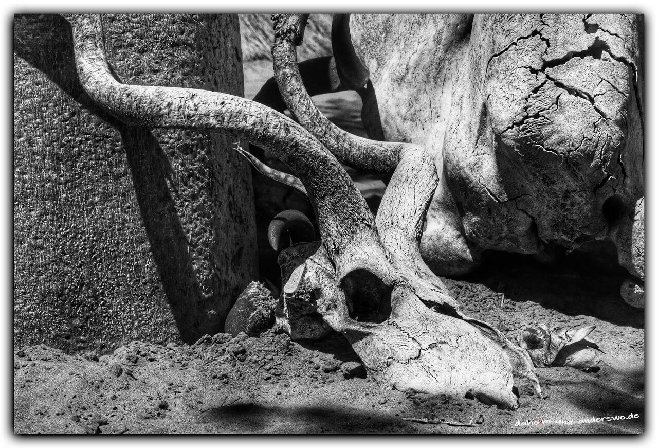 namibia-living museum-mafwe people- 06