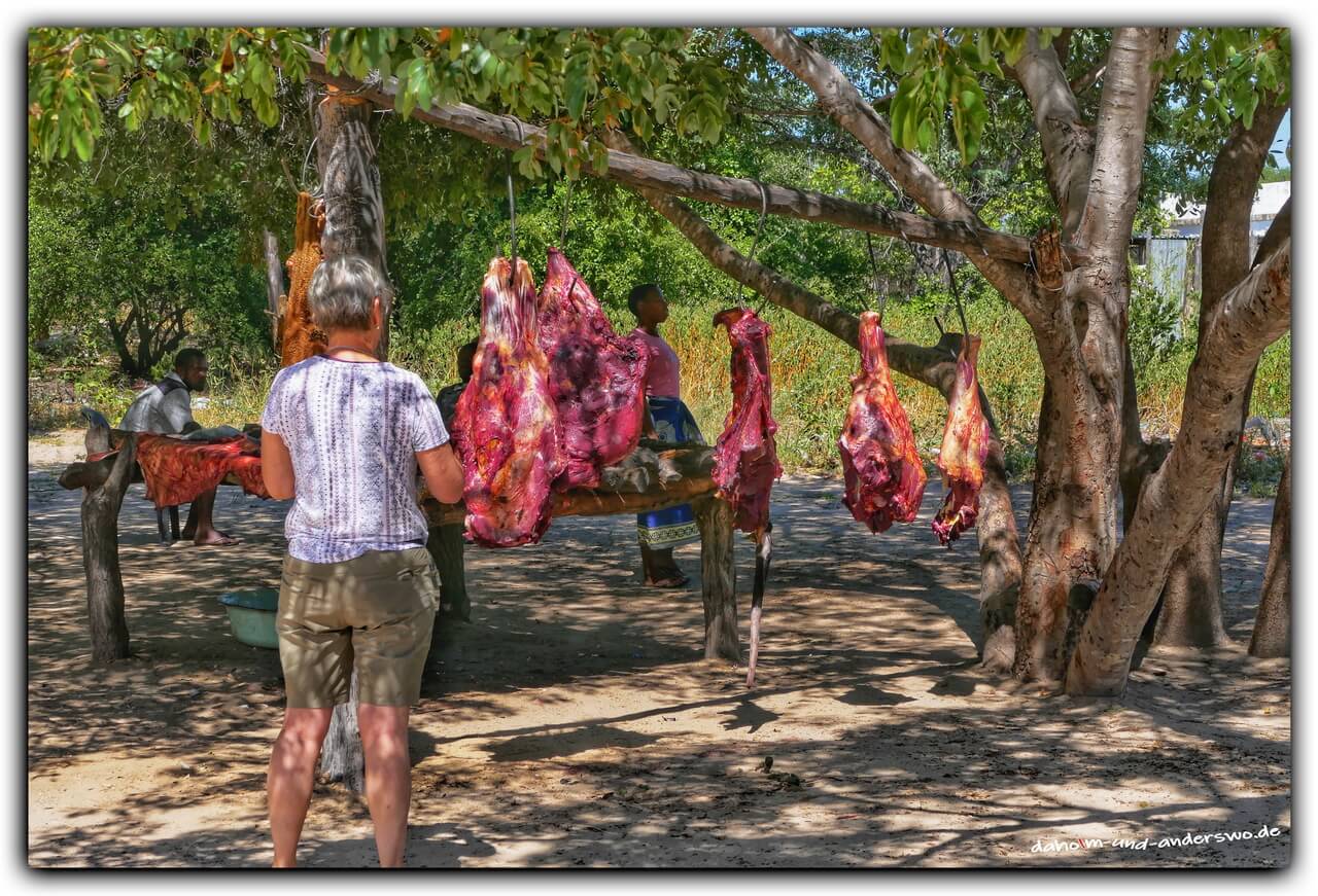 namibia-metzger ##