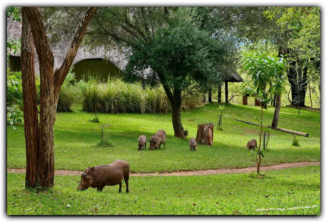 park-warzenscheine-logde-botwana