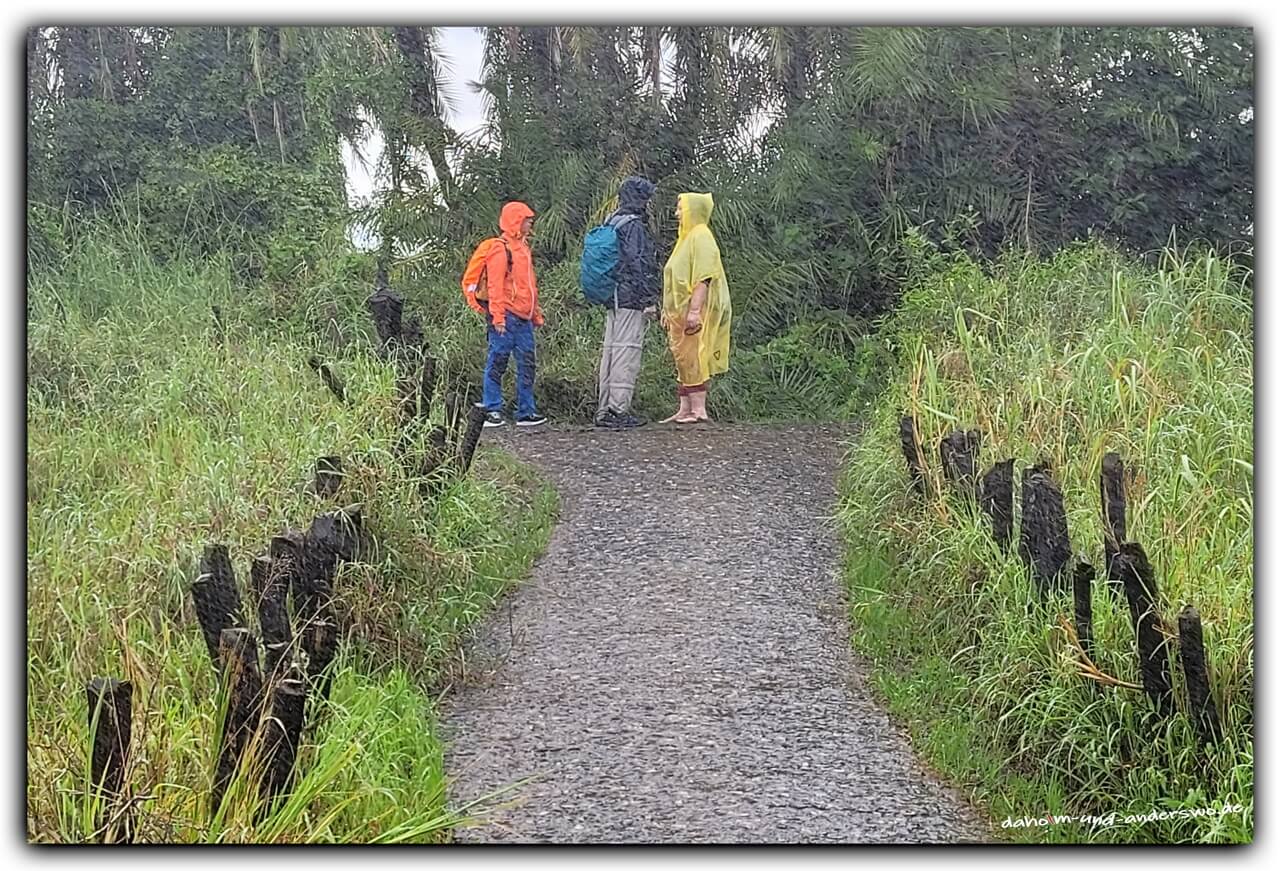victoria falls-simbabwe- regen 02_1