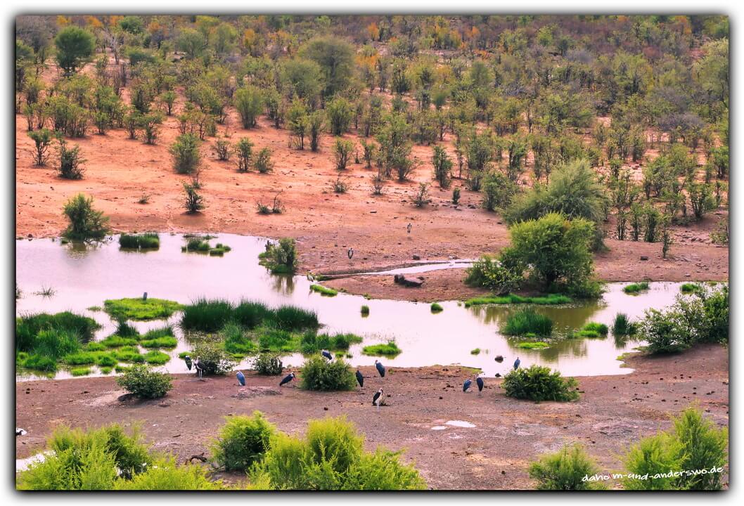 wasserloch-botswana-logde-restaurant 02
