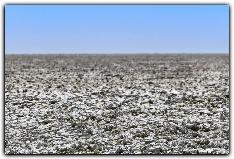 05 etosha-namibia-salzpfanne 02 05 etosha namibia salzpfanne 02