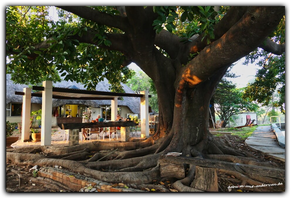 05 farmshop-namibia-01