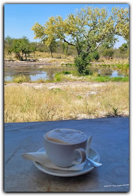 06 etosha-namibia-cappucino 02