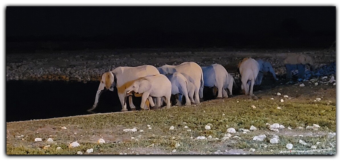 08 etosha-namibia-wildtiere-wasserloch-elefanten 01 08 etosha namibia wildtiere wasserloch elefanten 01