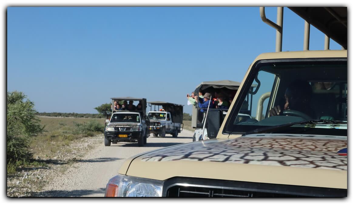 etosha-namibia-game drive etosha namibia game drive