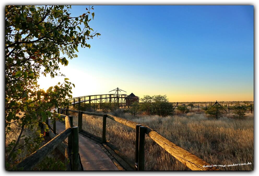 etosha sundowner namibia olifantsrush 01