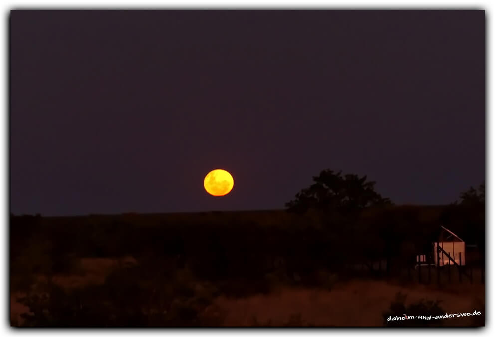 etosha sundowner namibia olifantsrush 03