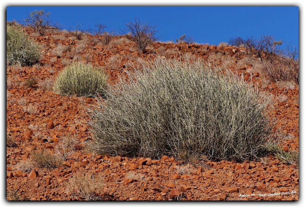 namibia-damaraland-straße-wüste-karge landschaft-05 namibia damaraland strasse wueste karge landschaft 05