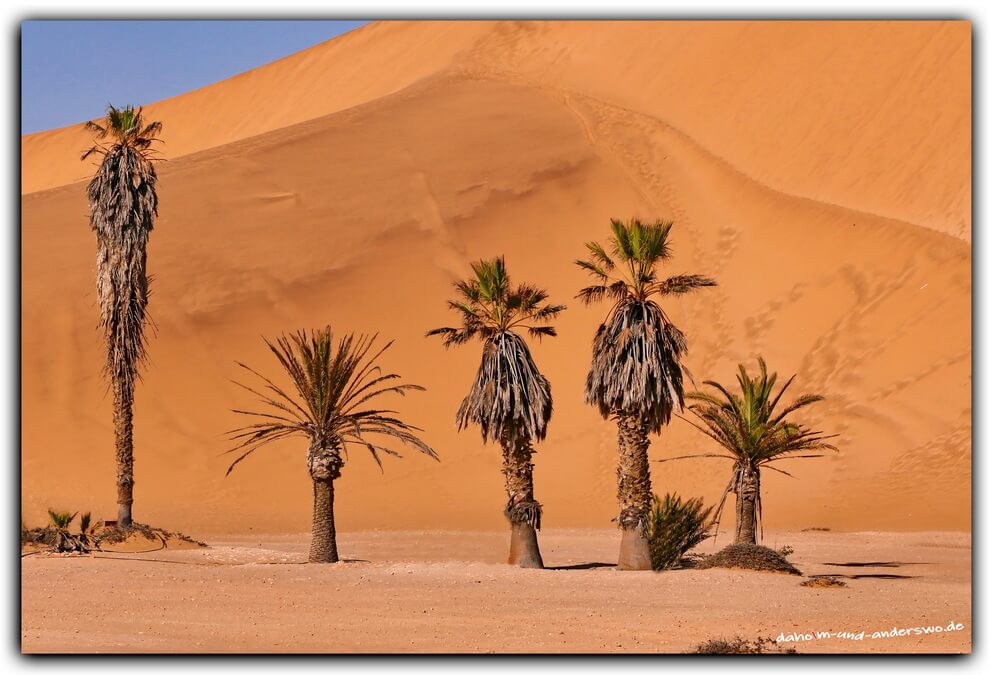namibia-walvis bay-swakopmund- 23_0_2 namibia walvis bay swakopmund 23 0 2