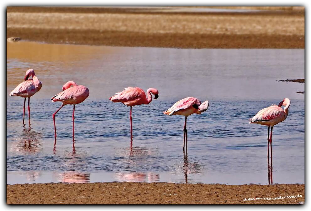 namibia-walvis bay-swakopmund- 28_0_2 namibia walvis bay swakopmund 28 0 2