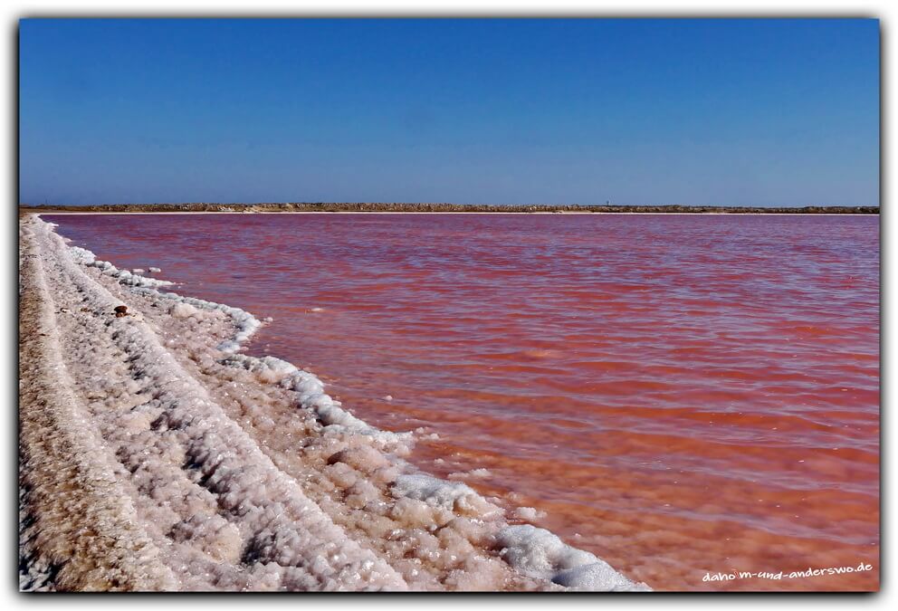 namibia-walvis bay-swakopmund- 32_0_2 namibia walvis bay swakopmund 32 0 2