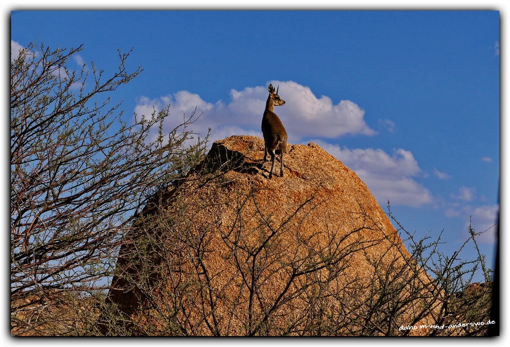 spitzkoppe namibia camping 18