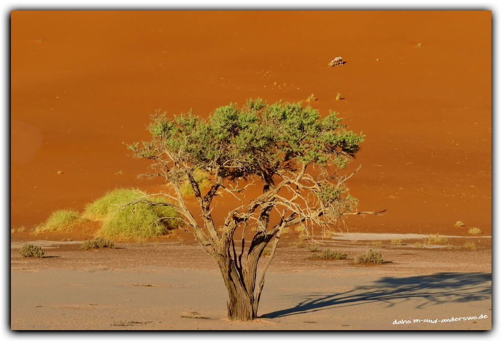 05 namibia sossusvlei 08 0 2