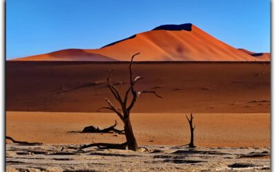 Sossuvlei und Deadvlei – Hohe Dünen, alte Bäume