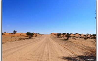 Von Sossuvlei in die Kalahari und viel letztes Mal