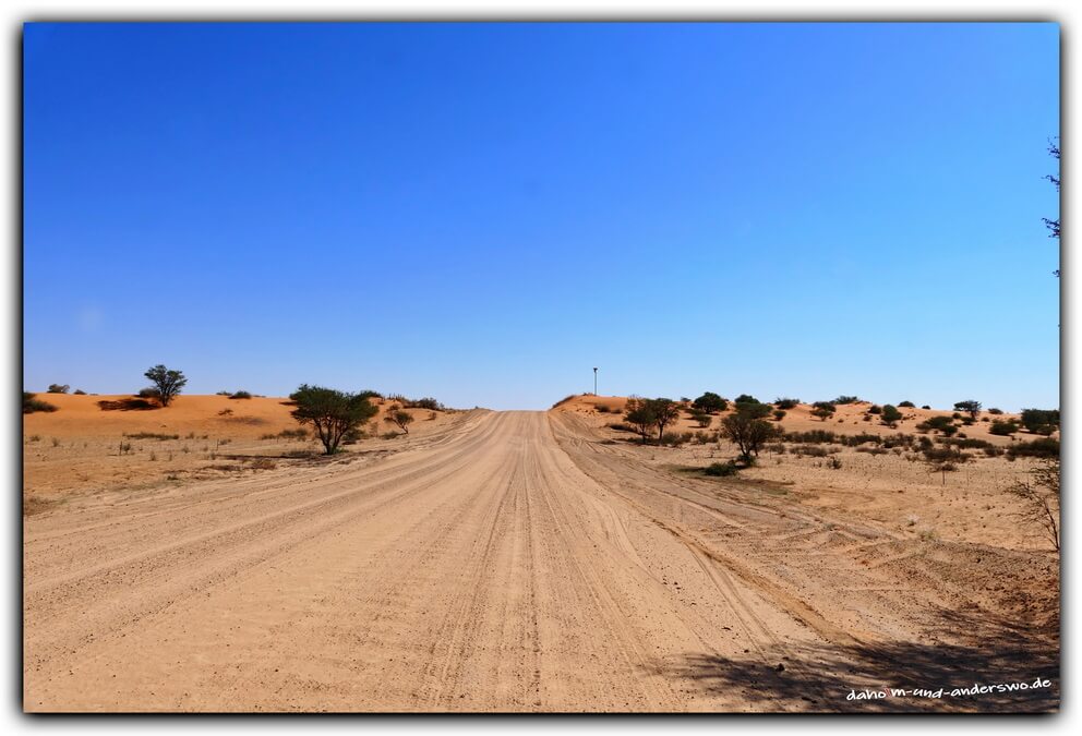 namibai kalahari wueste 02