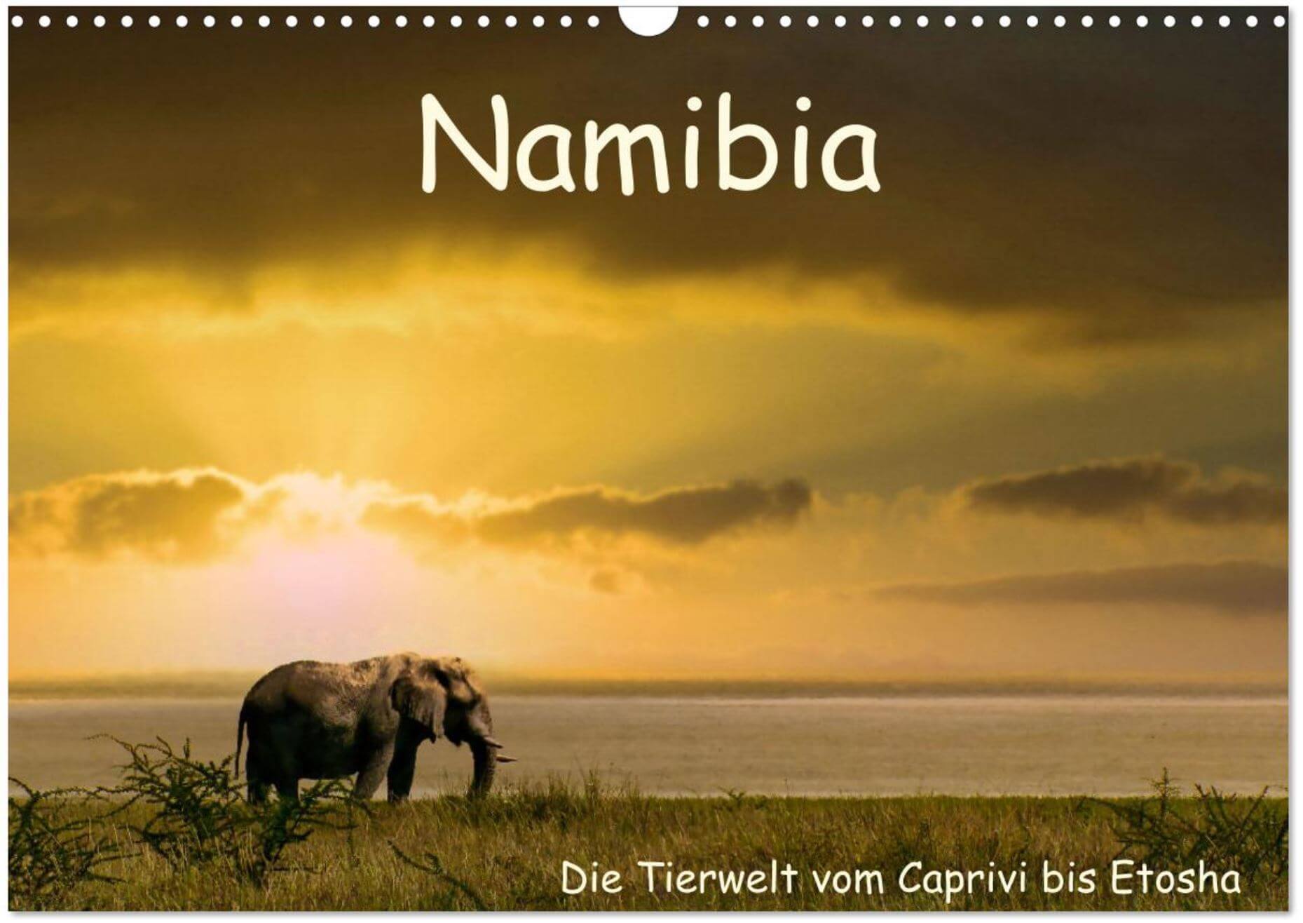 namibia Tierwelt Caprivi etosha
