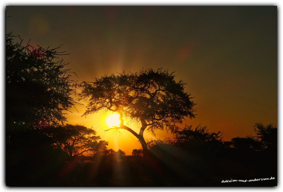 namibia kalahari sonnenuntergang jansens farm 01