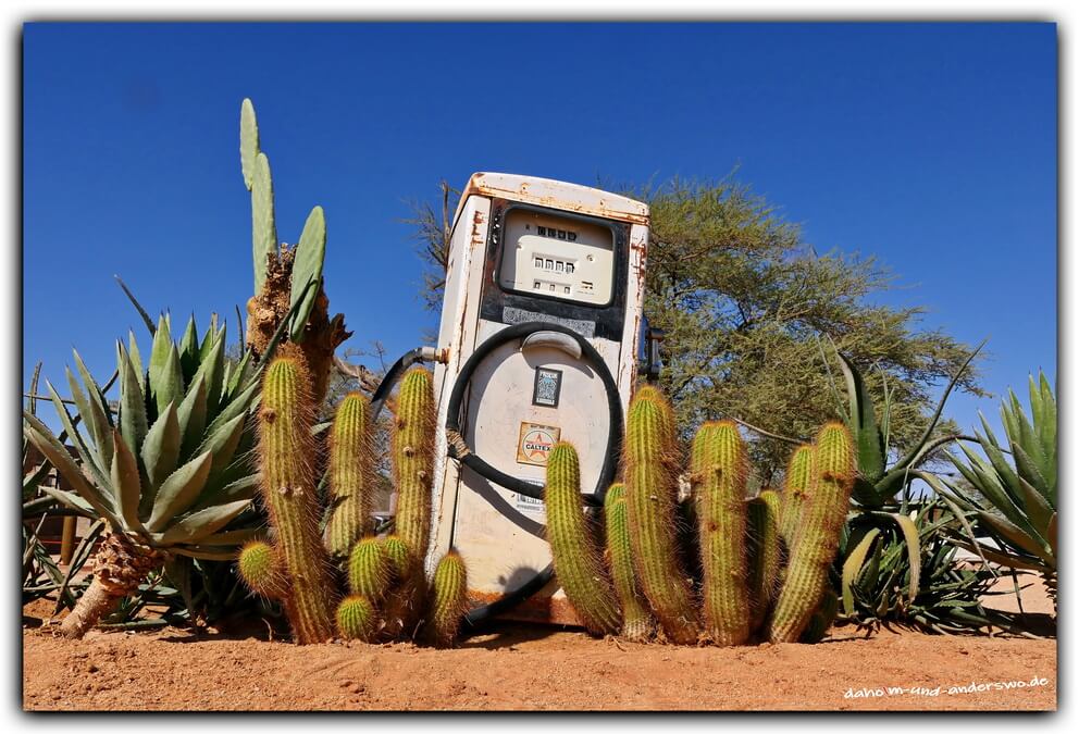namibia solitaire Oldtimer Kaktus rost 01