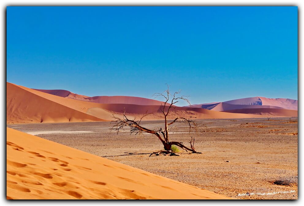 namibia sossusvlei duene 45 sesriem wueste 04