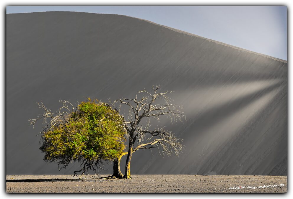 namibia sossusvlei duene 45 sesriem wueste 05
