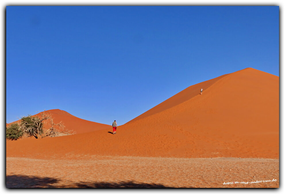 namibia sossusvlei duene 45 sesriem wueste 08