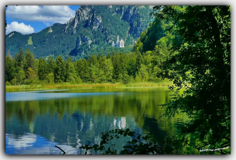 fuessen schwanensee neuschwanstein spiegel wasser allgaeu