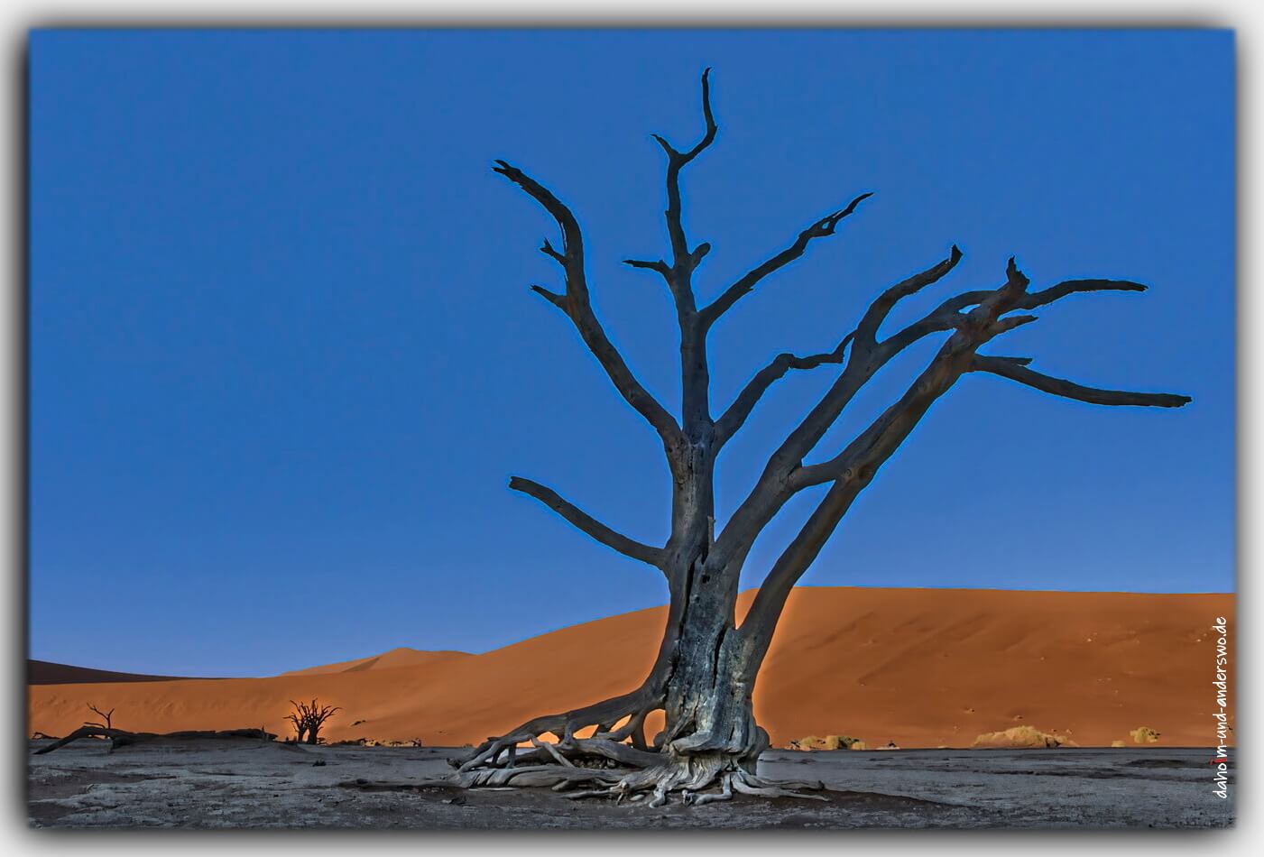 Namibia afrika duene 45 sand soussuvle deadvlei i 02