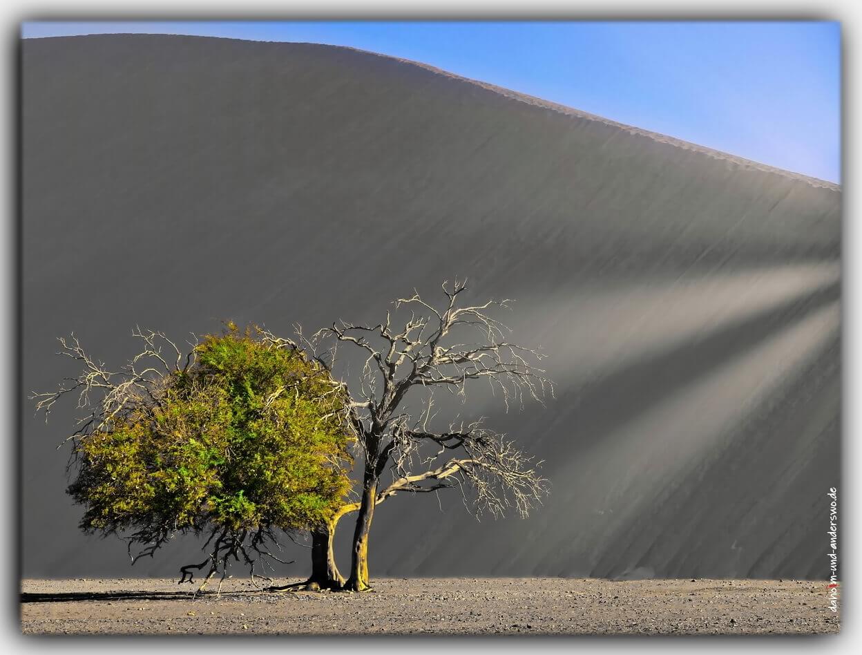 Namibia afrika duene 45 sand soussuvlei 01