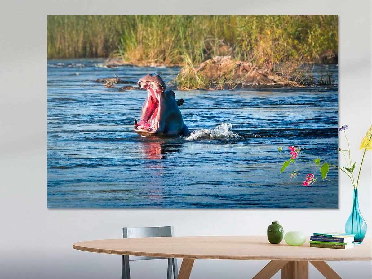 bild artheros 01