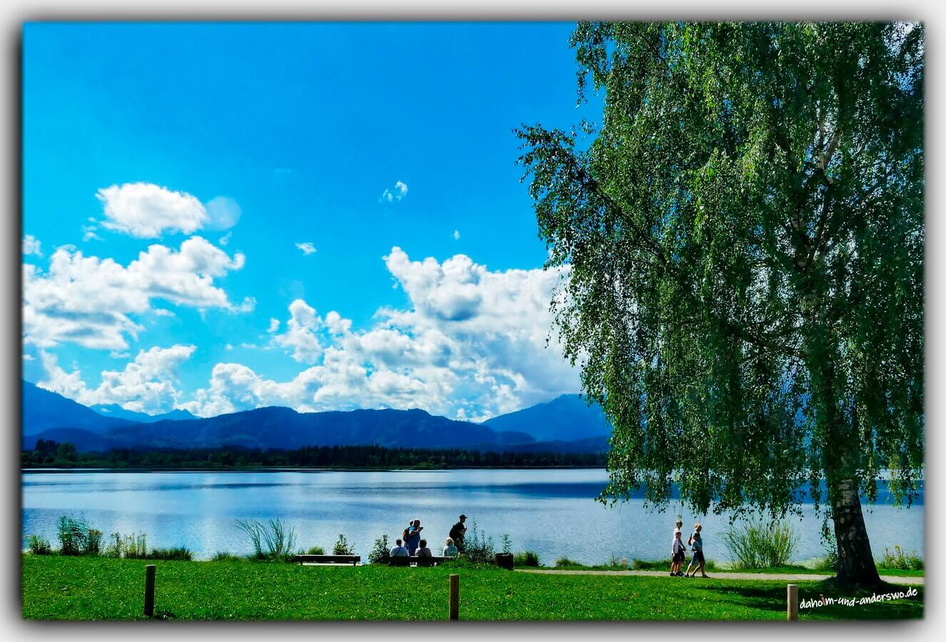 03 hopfensse fuessen allgaeu berge heimat 01
