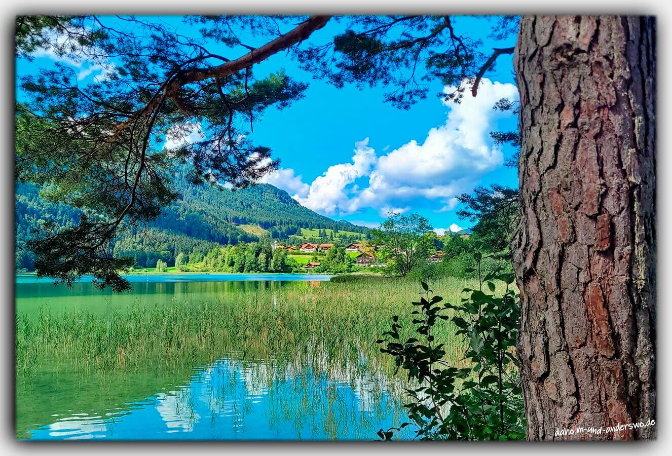 08 allgaeu weissensee berge heimat bayern 03