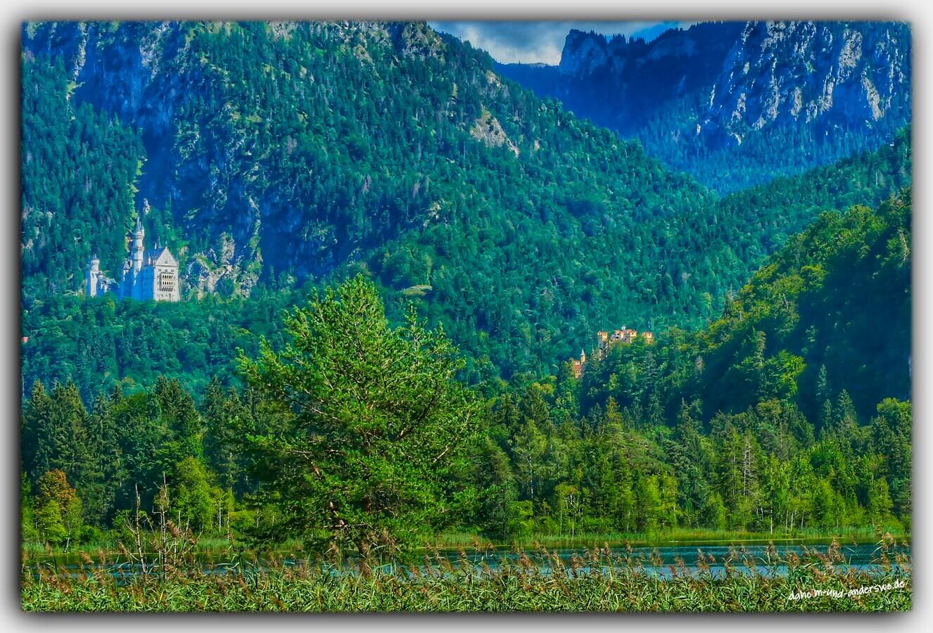 24 schwanensee koenigsschloesser neuschwanstein bayern allgaeu 03