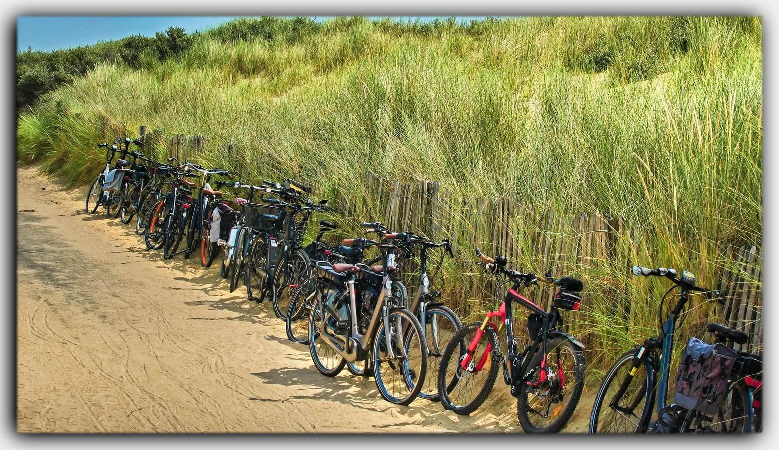 Holland Nordsee Zeeland Niederlande 15