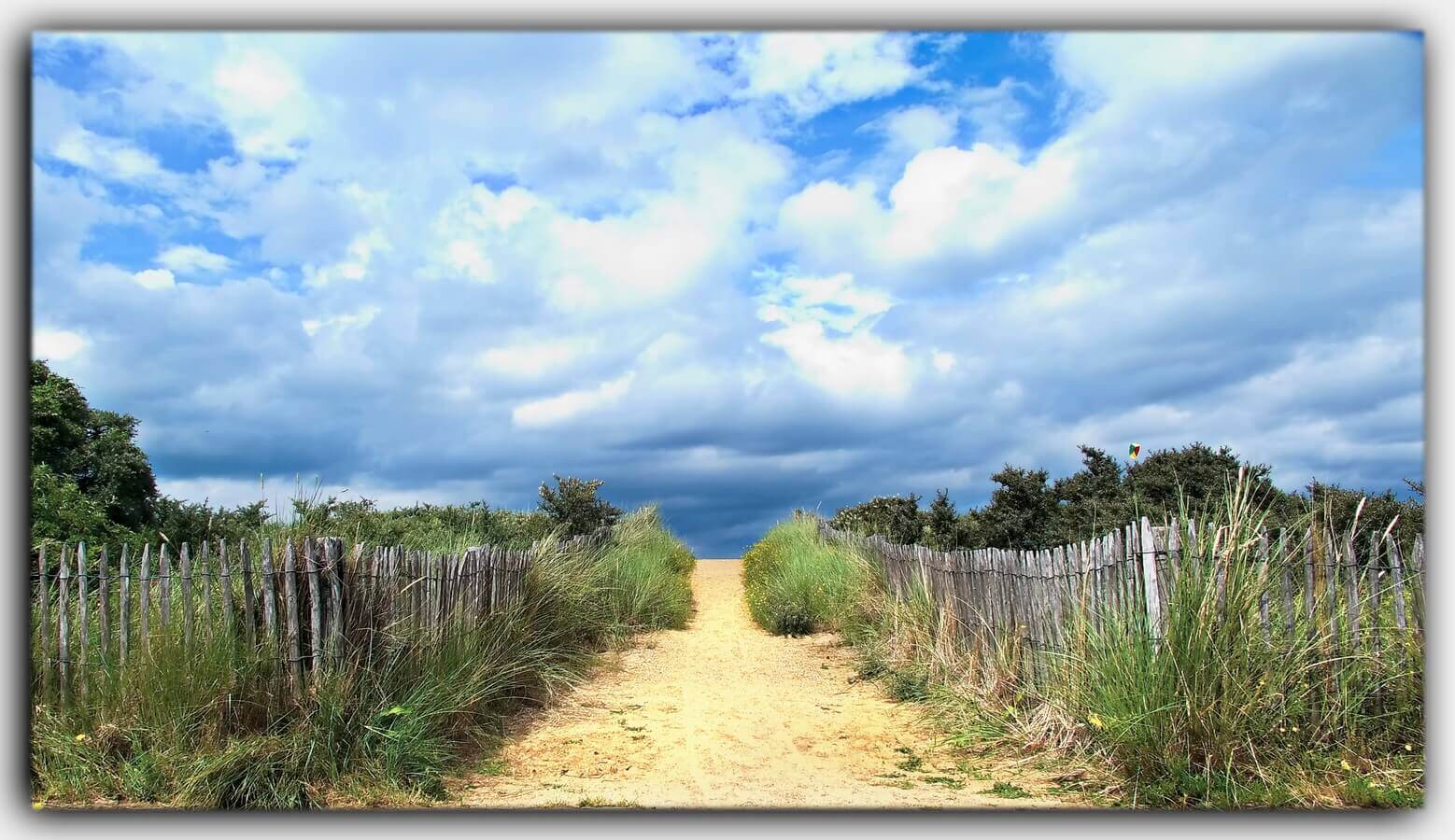 Holland Nordsee Zeeland Niederlande strand sandstrand strandhafer Duenen 01