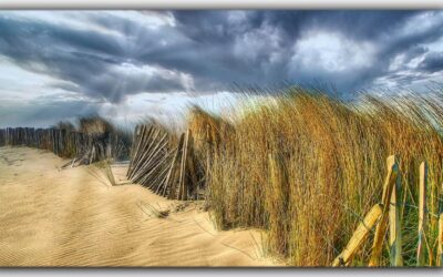 Bilder aus Holland