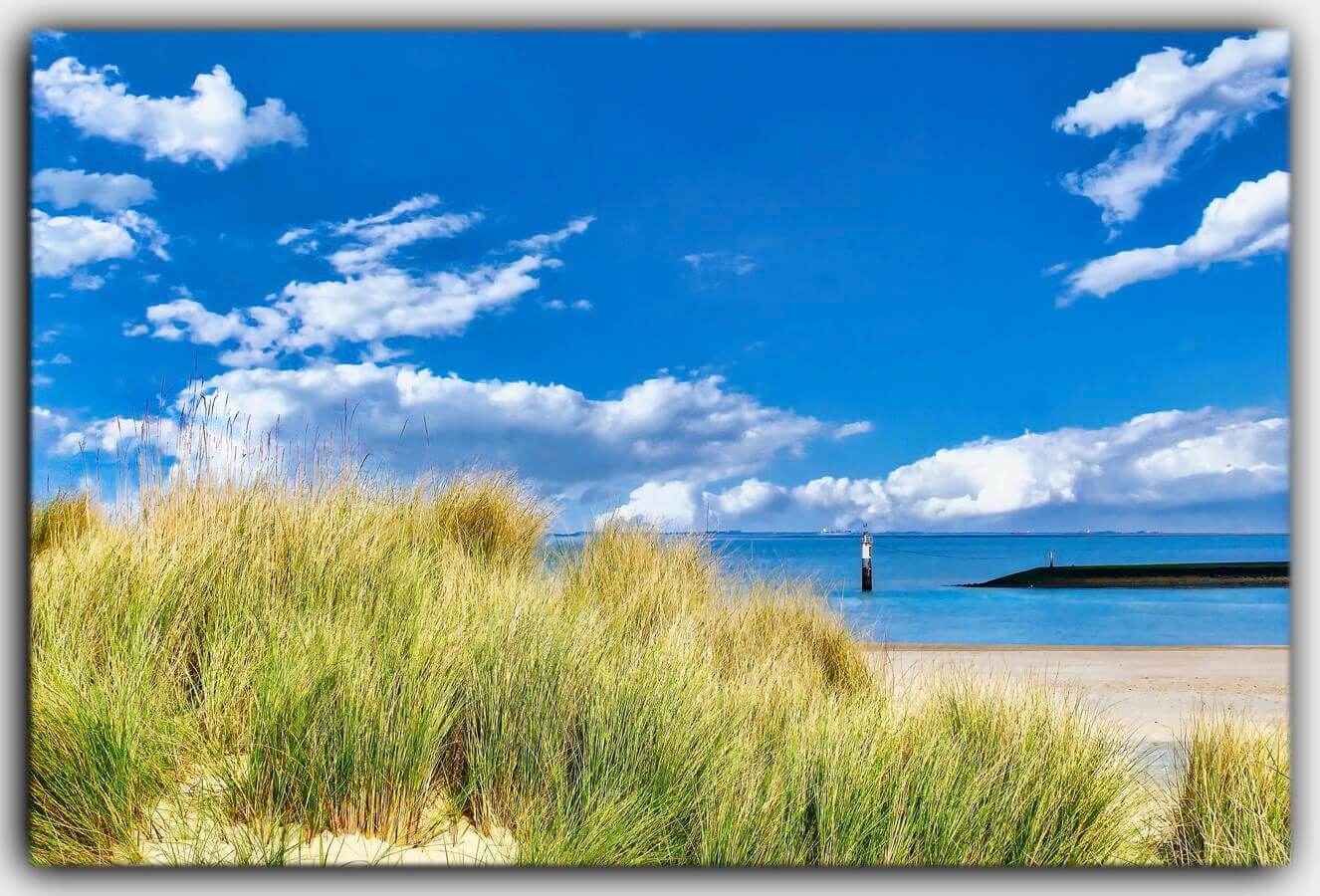 Holland Nordsee Zeeland Niederlande strand sandstrand strandhafer Duenen 03