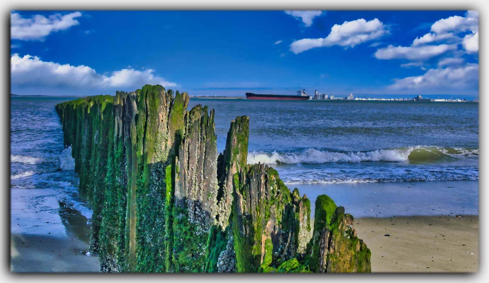 Holland Wellenbrecher Poller Zeeland Niederlande Holland 06